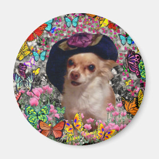Chi Chi in Vlinders - Chihuahua Magneet