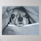 Chi Cuddle Time Poster (Voorkant)