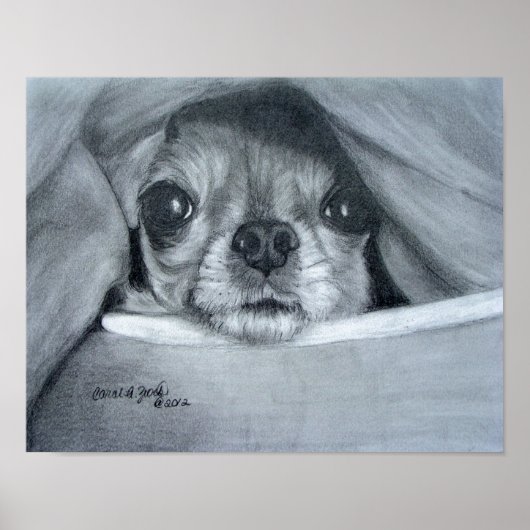 Chi Cuddle Time Poster (Voorkant)