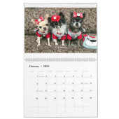 Chi Yum Yum 2020-kalender Kalender (Feb 2026)