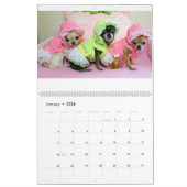 Chi Yum Yum Kalender 2017 (Jan 2026)