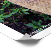 Chiba Monk Poster (Hoek)