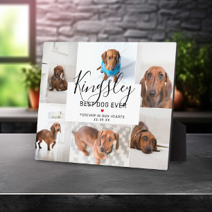 Chic Best Dog Ever Foto Collage Pet Loss Fotoplaat