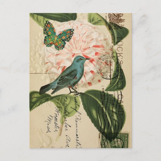 Chic  Bird camellia franse botanische kunst Briefkaart (Voorkant)