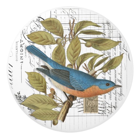 Chic  Bluebird on Branch French Script Knob Keramische Knop (Voorkant)