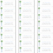 Chic Boxwood Boy Baby shower Étiquettes de adresse (Devant)