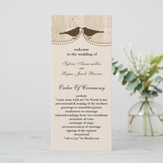 Chic brune cage d'oiseau, programmes de mariage in (Debout devant)