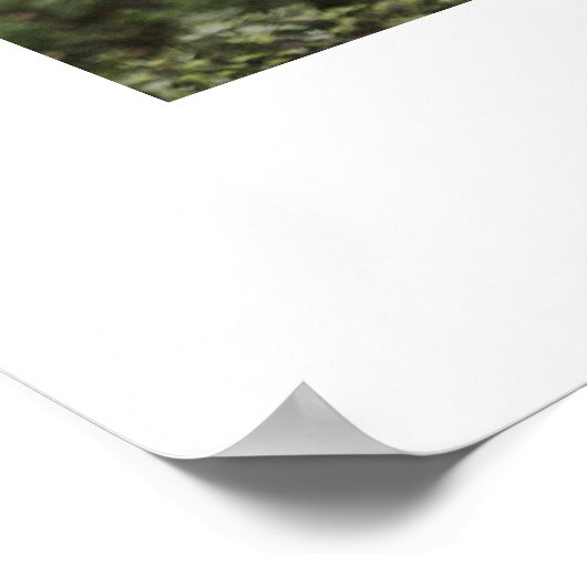 Chic Calligraphy Script Foto Bruiloft Welkom Bord Poster (Hoek)