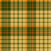 Chic Fall Plaid Throw Modern Rustic Cozy Blanket Fleece Deken