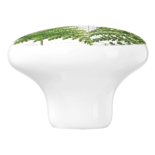 Chic  Ferns & French Document Script Knob Keramische Knop (Zijkant)