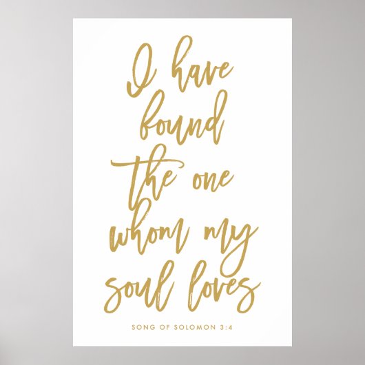 Chic Hand Lettered Ik heb het One Sign gevonden Poster (Voorkant)