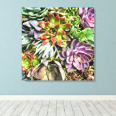 Chic modern kleurrijk Succulent fotopatroon Canvas Afdruk (Insitu (Houten vloer))