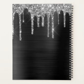 Chic Parties scintillant Argent Noir brossé Métal (Dos)