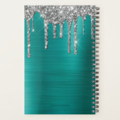 Chic Parties scintillant argent Turquoise brossé m (Dos)