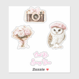 Chic Pink Beret Brown White Owl Be Seeing You Sticker