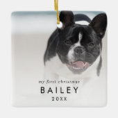 Chic Puppy's eerste kerstfoto Keramisch Ornament (Voorkant)