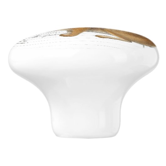 Chic Rabbit Fern French Script Knob Keramische Knop (Zijkant)