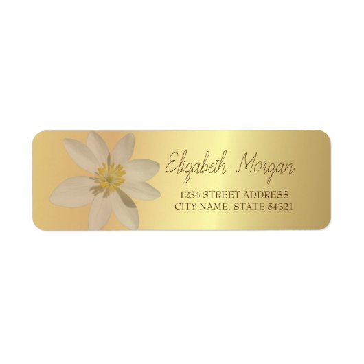 Chic Romantic White Daisy Gold Address Label (Voorkant)