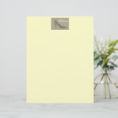 Chic Shoe ~ Letterhead (Staand voorkant)