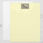 Chic Shoe ~ Letterhead (Voorkant / Achterkant)
