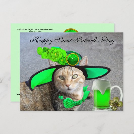 CHIC ST.PATRICK'S DAY CAT, GROENE ROZEN, IRISH BEE BRIEFKAART (Voorkant / Achterkant)