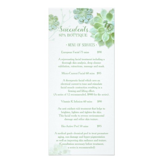 Chic Succulents Massage Spa Tarifs Menu 2 (Devant)