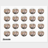 Chic Typographie Graduate Photo Graduate Sticker (Feuille)