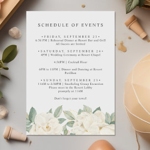 CHIC WITTE ROZEN BLOEMEN Lente PROGRAMMA VAN EVENE