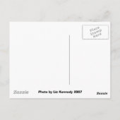 Chicago Bean Briefkaart (Achterkant)