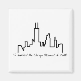 Chicago Blizzard 2011 - magneet