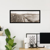 Chicago Cubs Baseball Foto 1904 Poster (Thuiskantoor)