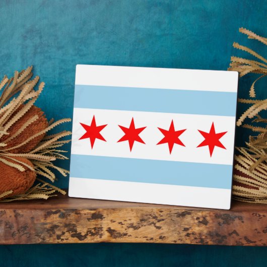Chicago Flag, Illinois State Plaque (Côté)