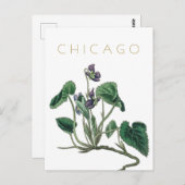  Chicago flower reis midden eeuw Briefkaart (Voorkant / Achterkant)