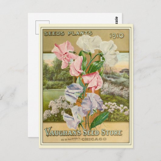  Chicago Gardening Flower Seeds Catalog Briefkaart (Voorkant / Achterkant)