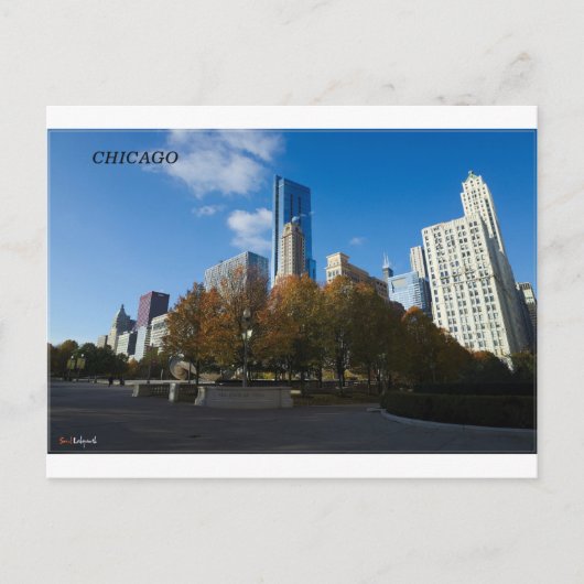 Chicago - Millennium Park Briefkaart (Voorkant)
