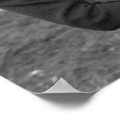 Chicago Pet Mode 1940 Poster (Hoek)