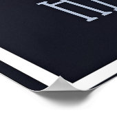 Chicago skyline travel poster, poster (Hoek)