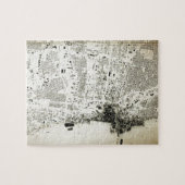 Chicago Streets and Buildings  Map Legpuzzel (Horizontaal)