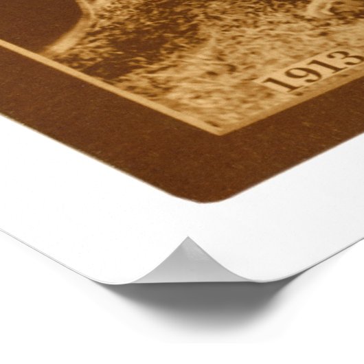 Chicago White Sox Team 1913 Poster (Hoek)