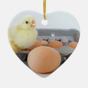 Chick and Egg Carton met bruine eieren Keramisch Ornament