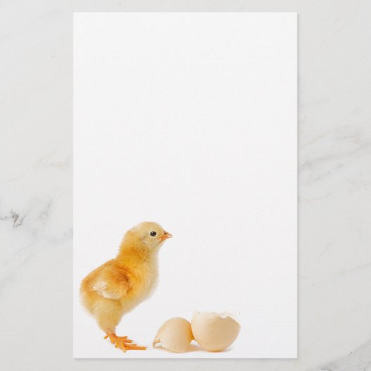 Chick Briefpapier (Voorkant)