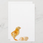 Chick Briefpapier (Voorkant / Achterkant)