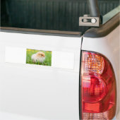 Chick Bumpersticker (Op Truck)