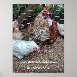 Chick chick kip plezier poster