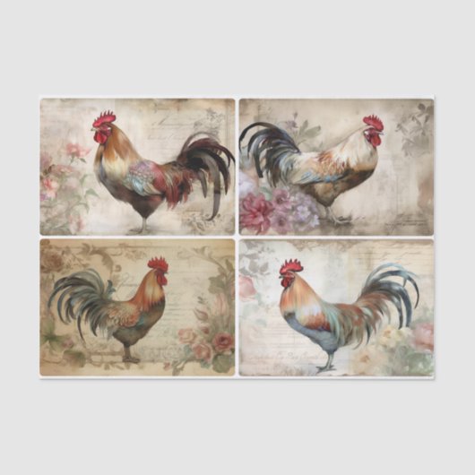 Chick, Chick, Kip Tissuepapier (Voorkant)