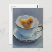 Chick dans une carte postale (Devant / Derrière)