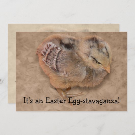 Chick - Fluffy Baby Chicken Easter Kaart (Voorkant / Achterkant)