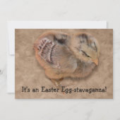 Chick - Fluffy Baby Chicken Easter Kaart (Voorkant)