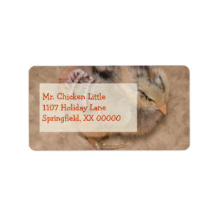 Chick - Fluffy Baby Chicken Etiket