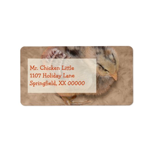Chick - Fluffy Baby Chicken Etiket (Voorkant)